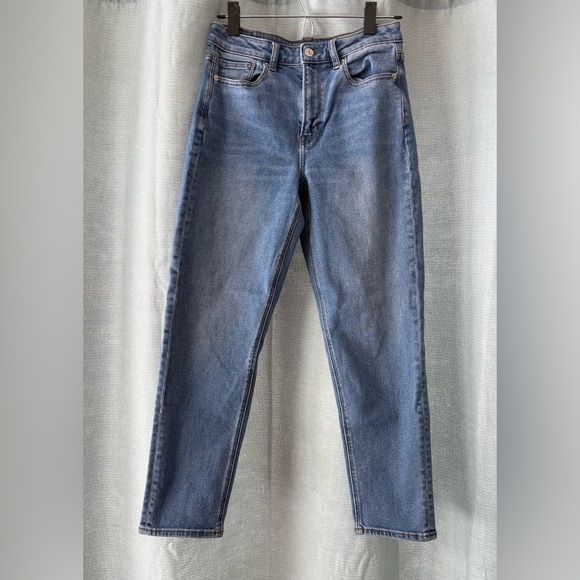 American Eagle Outfitters Denim - American Eagle Outfitters Straight Leg Hi Rise Mom Jeans size 4